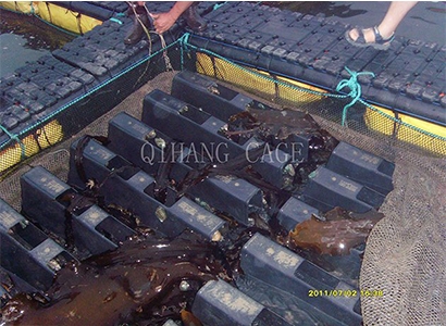 海洋網(wǎng)箱養(yǎng)魚一般做多深網(wǎng)箱養(yǎng)魚？